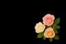 Roses | Ծաղկեպսակների առաքում Երևան
