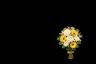 Round Bouquet | Ծաղկեպսակների առաքում Երևան