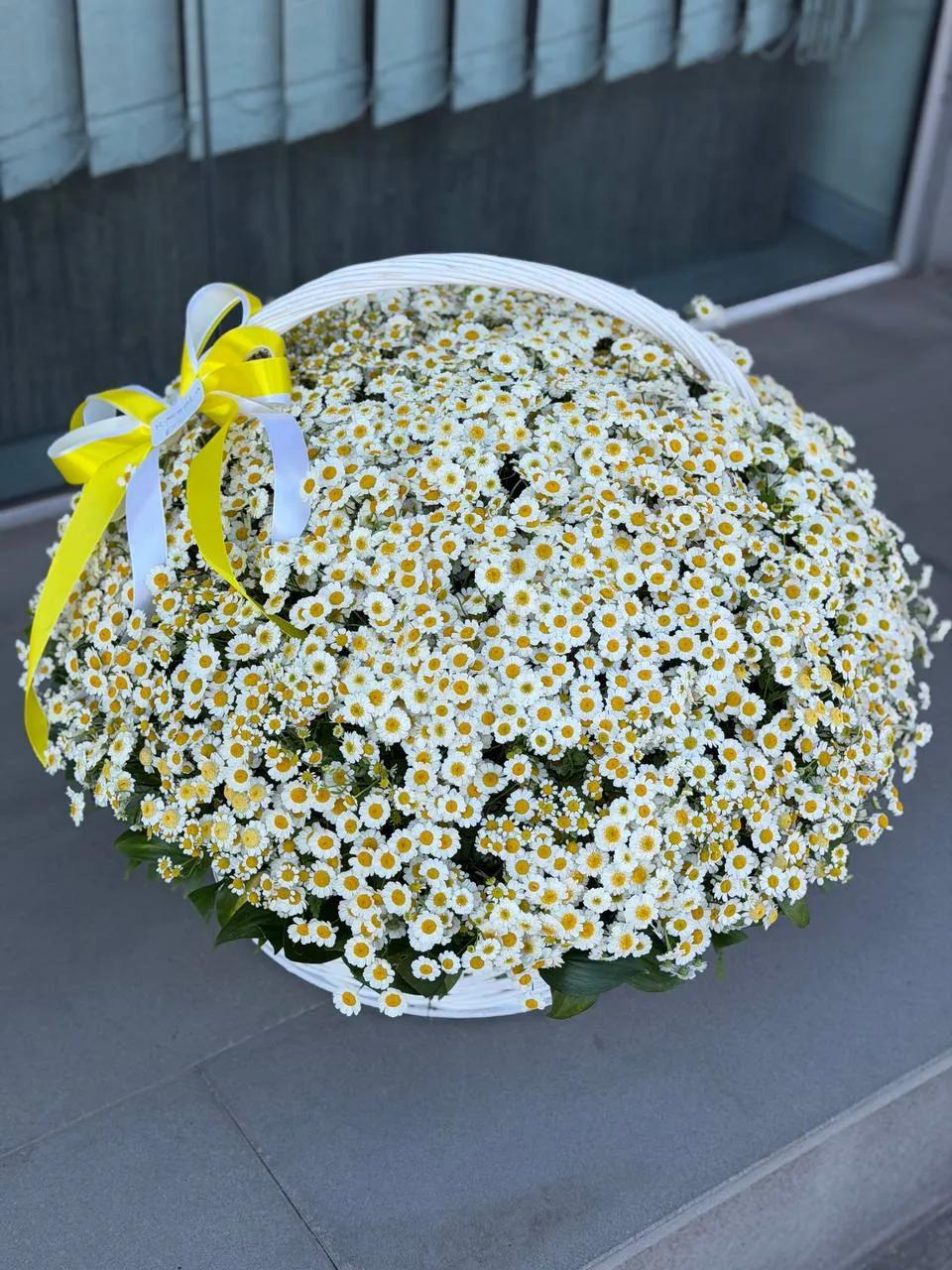 Chamomile in a basket | ծաղիկներ, ծաղկեպսակներ, բույսեր Երևան