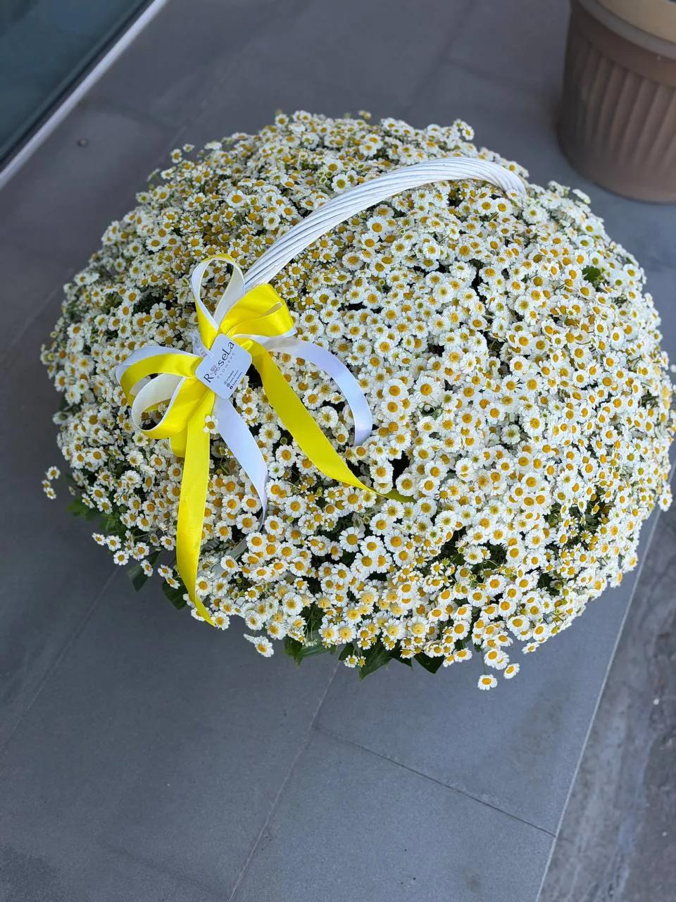 Chamomile in a basket | ծաղիկներ, ծաղկեպսակներ, բույսեր Երևան