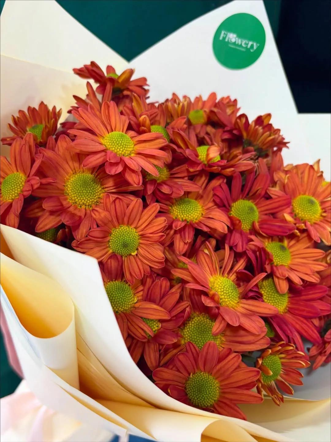 Orange chrysanthemums | ծաղիկներ, ծաղկեպսակներ, բույսեր Երևան