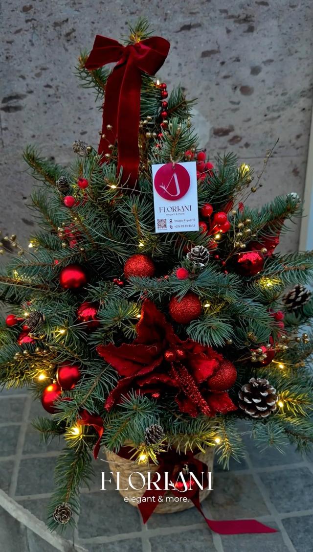 Christmas composition | ծաղիկներ, ծաղկեպսակներ, բույսեր - առաքում Երևան Christmas composition | ծաղիկներ, ծաղկեպսակներ, բույսեր - առաքում Երևան