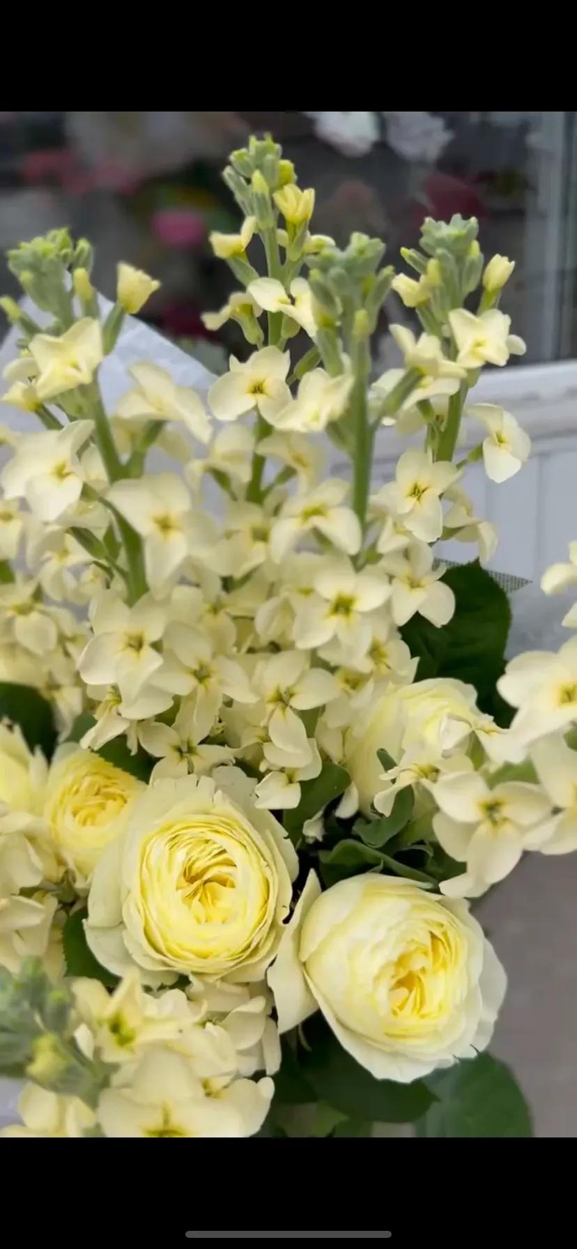 An elegant bouquet | ծաղիկներ, ծաղկեպսակներ, բույսեր Երևան An elegant bouquet | ծաղիկներ, ծաղկեպսակներ, բույսեր Երևան