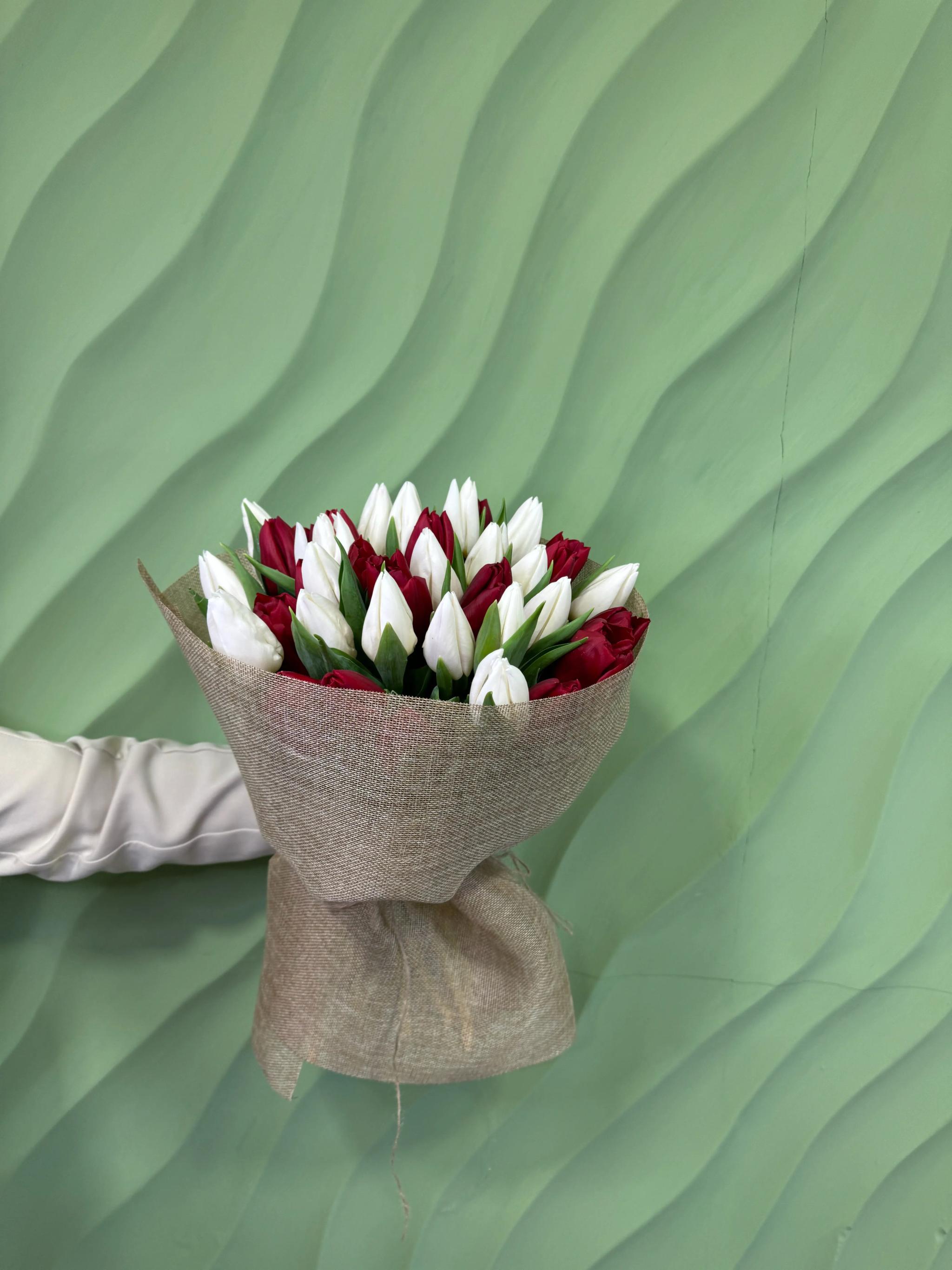 Tulips | ծաղիկներ, ծաղկեպսակներ, բույսեր Երևան Tulips | ծաղիկներ, ծաղկեպսակներ, բույսեր Երևան