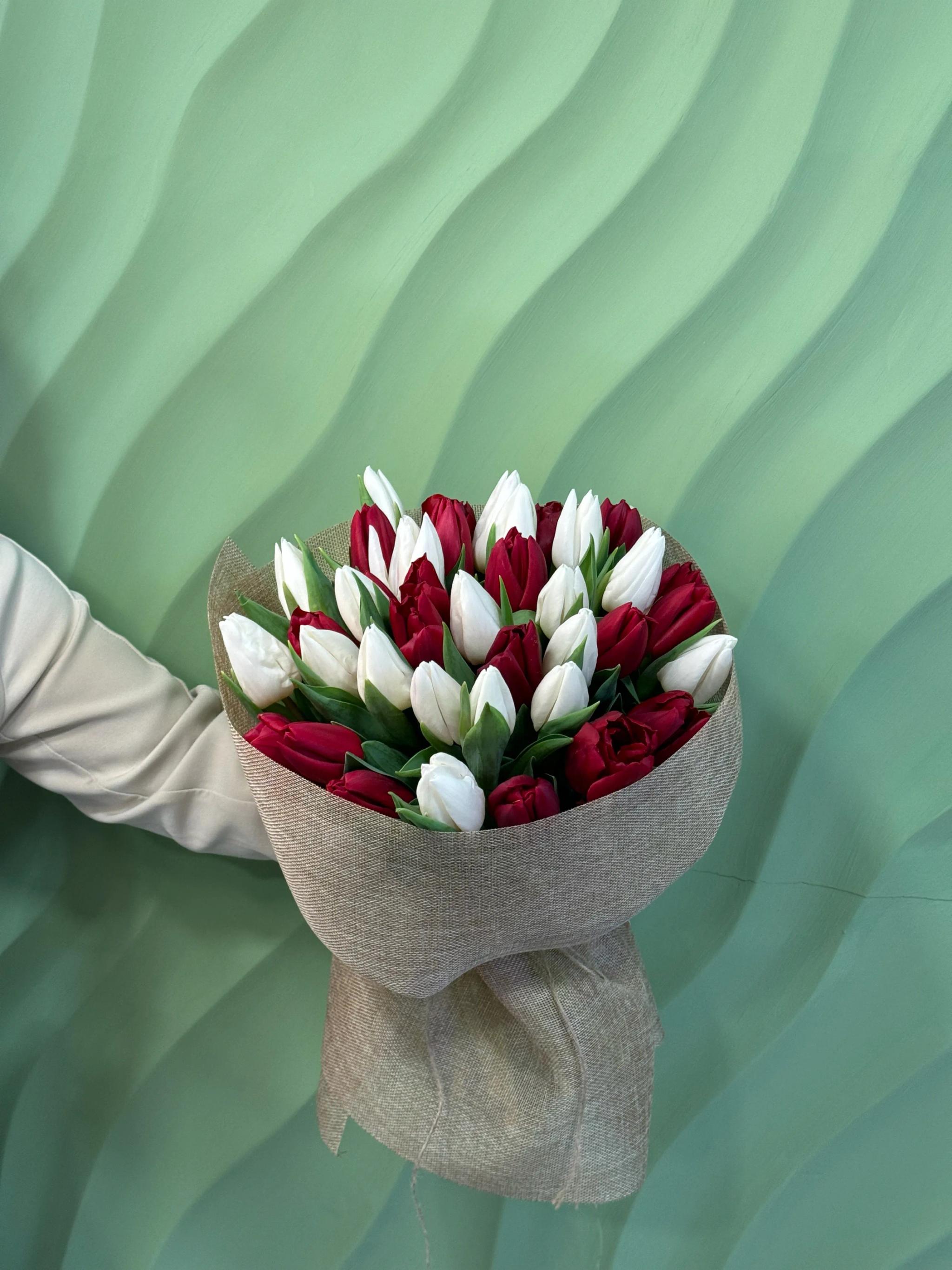 Tulips | ծաղիկներ, ծաղկեպսակներ, բույսեր Երևան Tulips | ծաղիկներ, ծաղկեպսակներ, բույսեր Երևան