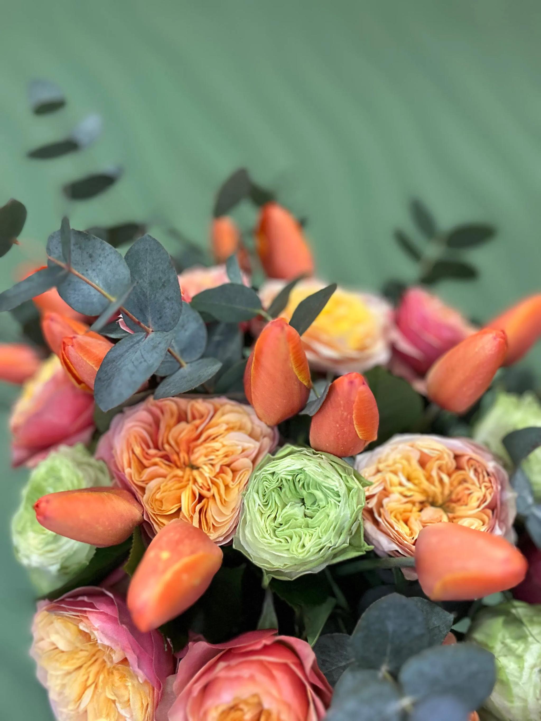 Different with roses | ծաղիկներ, ծաղկեպսակներ, բույսեր Երևան Different with roses | ծաղիկներ, ծաղկեպսակներ, բույսեր Երևան
