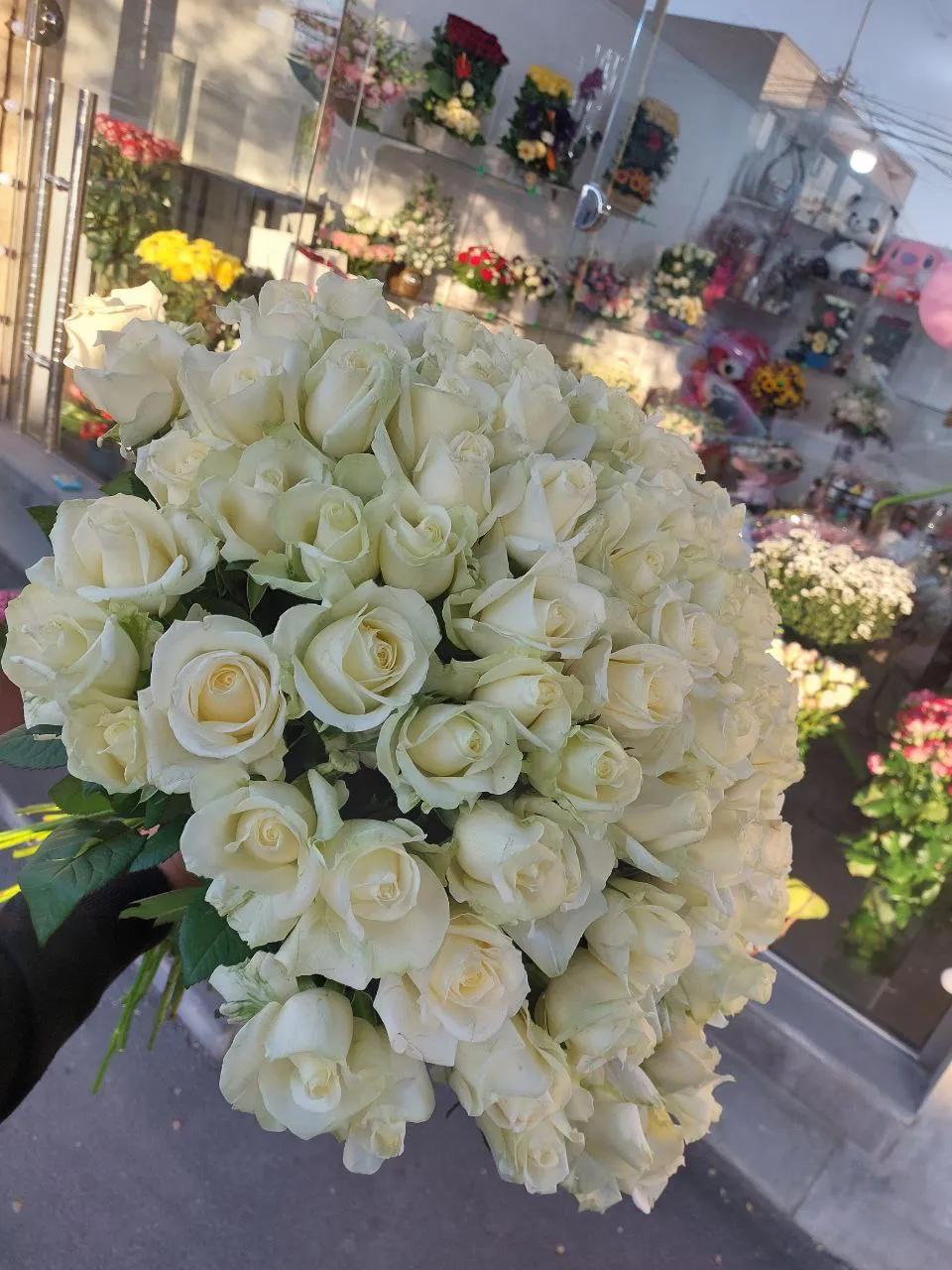 White roses | ծաղիկներ, ծաղկեպսակներ, բույսեր Երևան White roses | ծաղիկներ, ծաղկեպսակներ, բույսեր Երևան