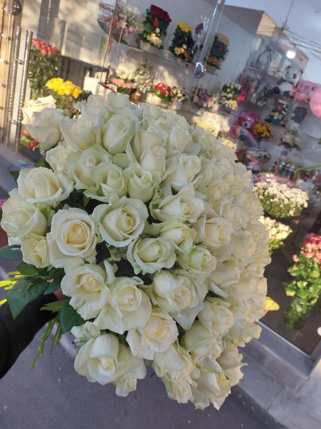 White roses | ծաղիկներ, ծաղկեպսակներ, բույսեր - առաքում Երևան White roses | ծաղիկներ, ծաղկեպսակներ, բույսեր - առաքում Երևան