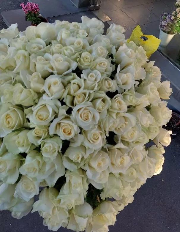 White roses | ծաղիկներ, ծաղկեպսակներ, բույսեր Երևան White roses | ծաղիկներ, ծաղկեպսակներ, բույսեր Երևան
