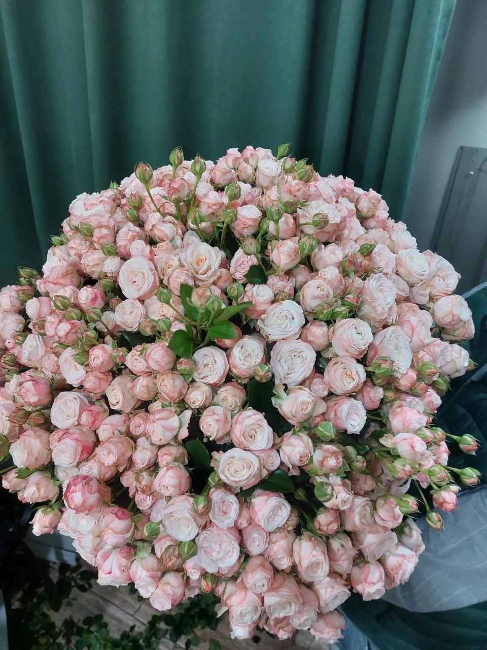 Bunch of roses | ծաղիկներ, ծաղկեպսակներ, բույսեր - առաքում Երևան Bunch of roses | ծաղիկներ, ծաղկեպսակներ, բույսեր - առաքում Երևան