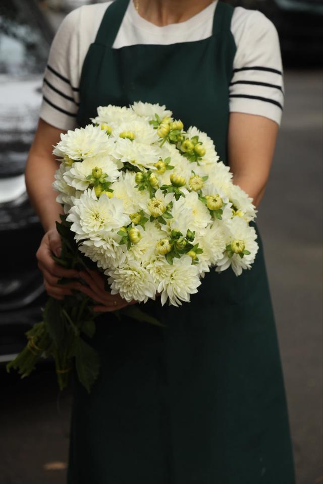 A bunch of white chrysanthemums | ծաղիկներ, ծաղկեպսակներ, բույսեր - առաքում Երևան A bunch of white chrysanthemums | ծաղիկներ, ծաղկեպսակներ, բույսեր - առաքում Երևան